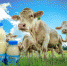 Льговская сгущенка – продукт один из лучших по качеству - GorodLgov.ru